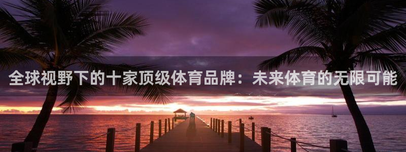 球客岛：全球视野下的十家顶级体育品牌：未来体育的无限可能