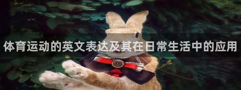 球客岛：体育运动的英文表达及其在日常生活中的应用