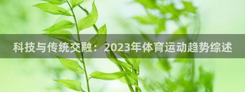 球客岛：科技与传统交融：2023年体育运动趋势综述
