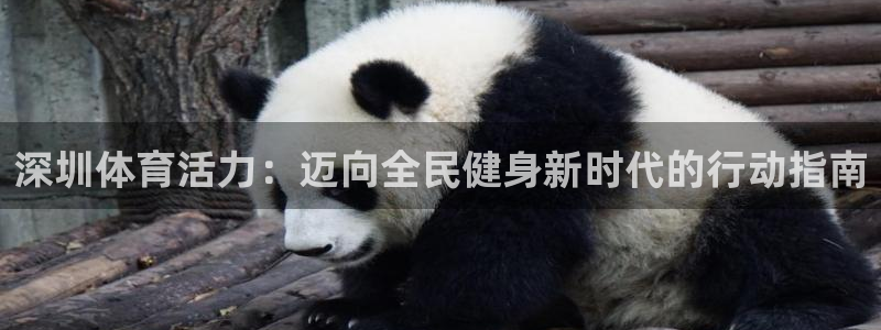 球客岛：深圳体育活力：迈向全民健身新时代的行动指南