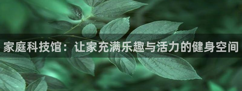 球客岛：家庭科技馆：让家充满乐趣与活力的健身空间