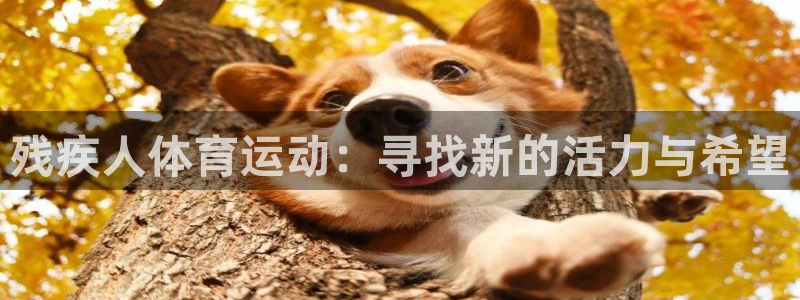 球客岛：残疾人体育运动：寻找新的活力与希望