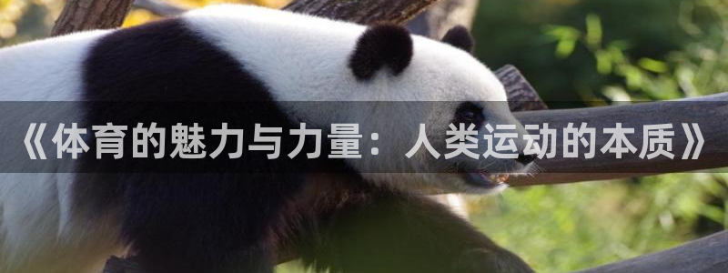 球客岛：《体育的魅力与力量：人类运动的本质》