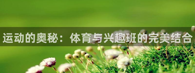 球客岛：运动的奥秘：体育与兴趣班的完美结合